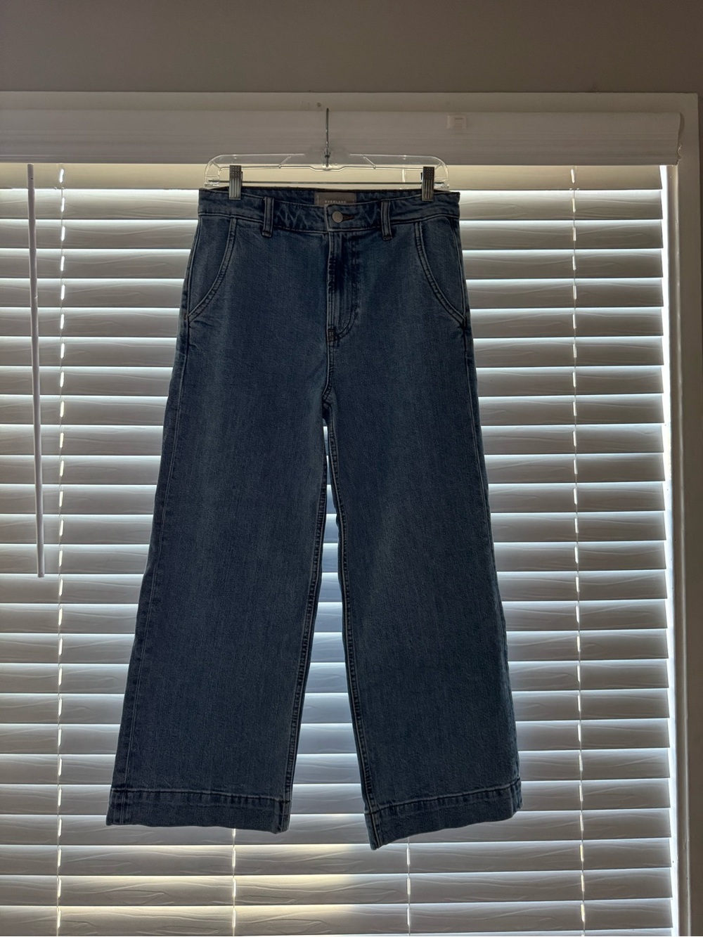 Everlane The Wide Leg Jean